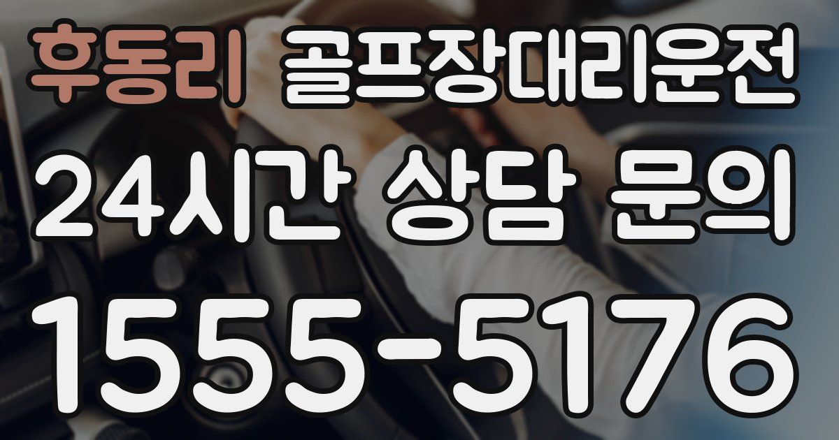 골프장대리운전 서비스