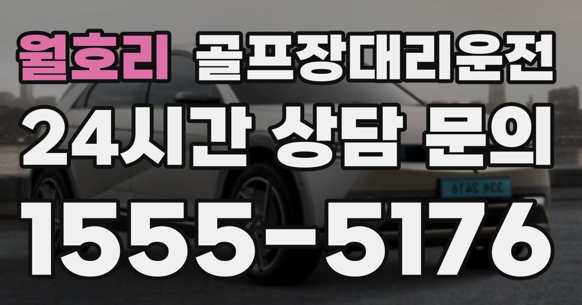 골프장대리운전 서비스