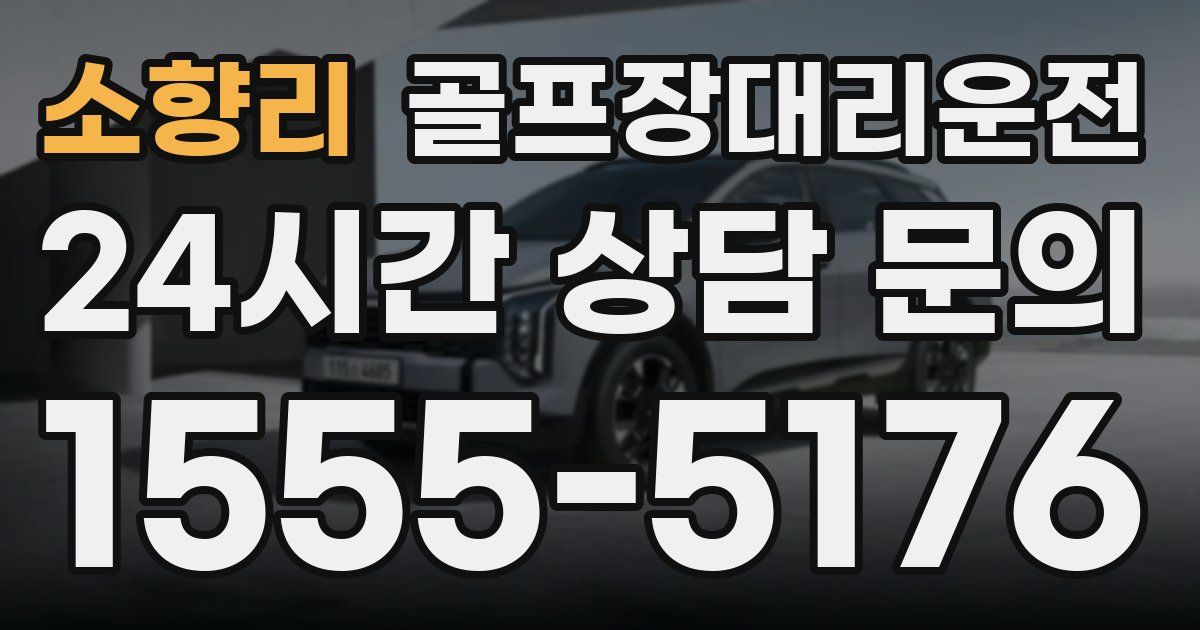 골프장대리운전 서비스