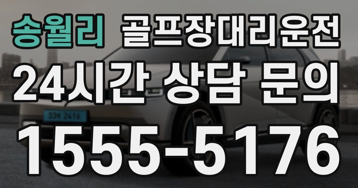 골프장대리운전 서비스