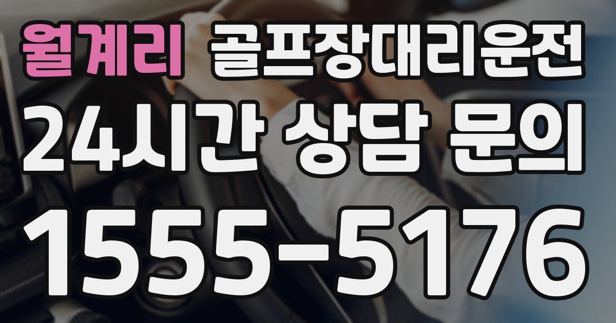 골프장대리운전 서비스