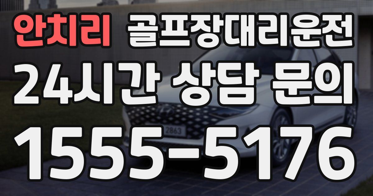 골프장대리운전 서비스