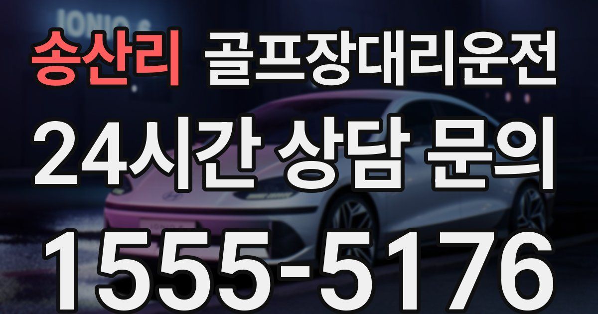골프장대리운전 서비스