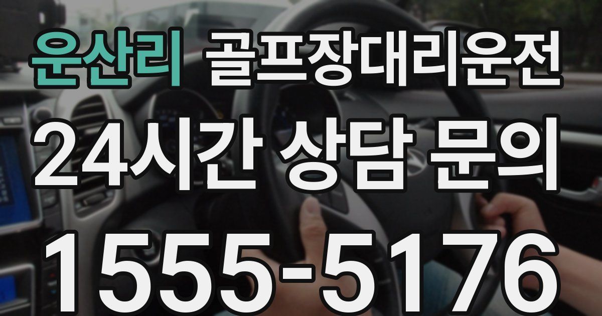 골프장대리운전 서비스