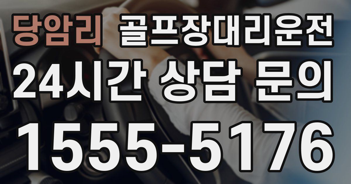골프장대리운전 서비스