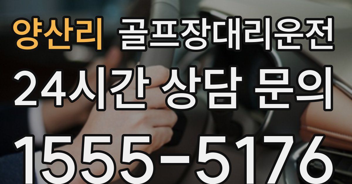 골프장대리운전 서비스