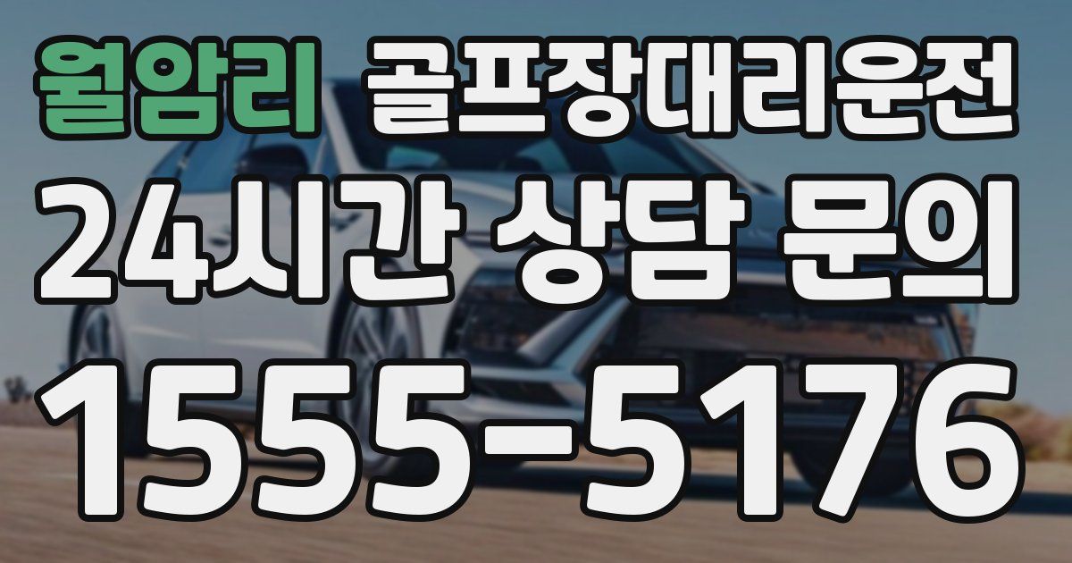 골프장대리운전 서비스