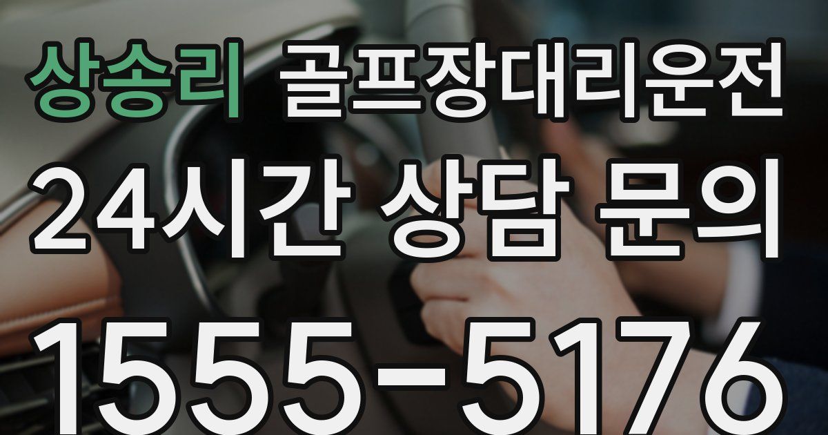 골프장대리운전 서비스