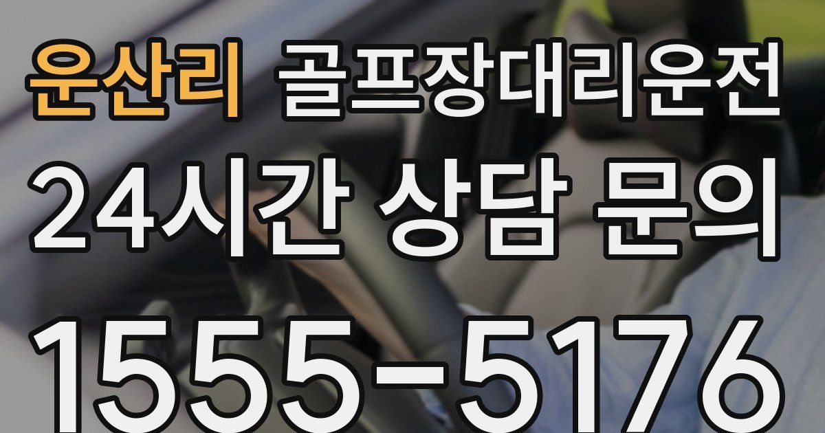 골프장대리운전 서비스