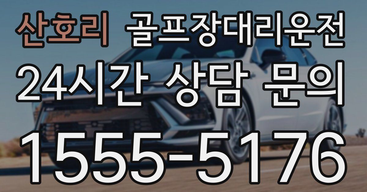 골프장대리운전 서비스