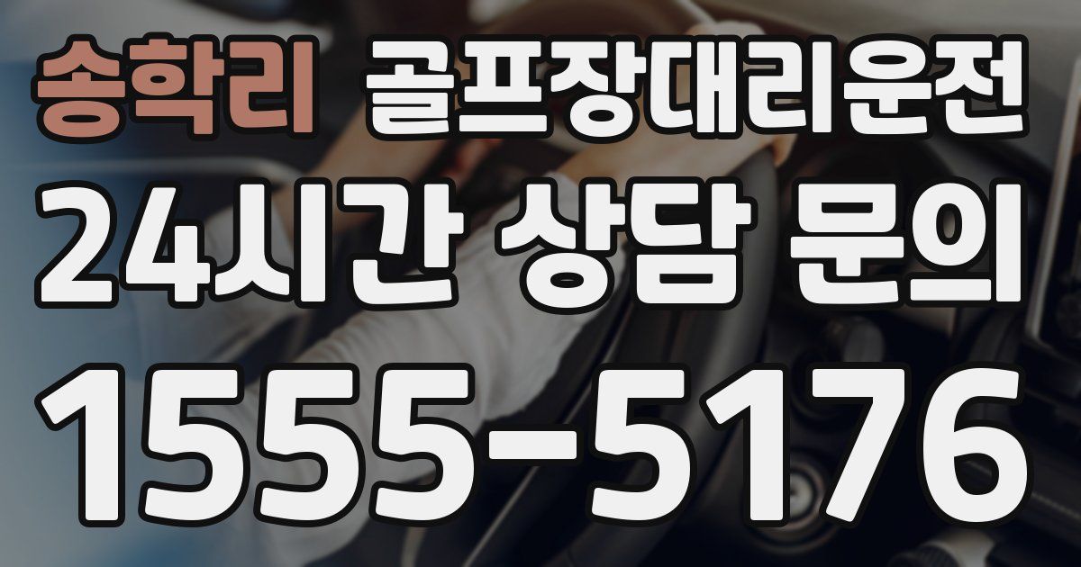 골프장대리운전 서비스