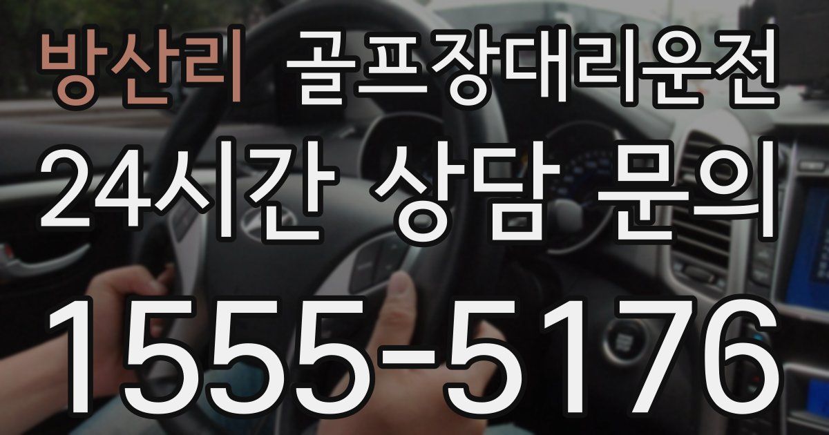 골프장대리운전 서비스