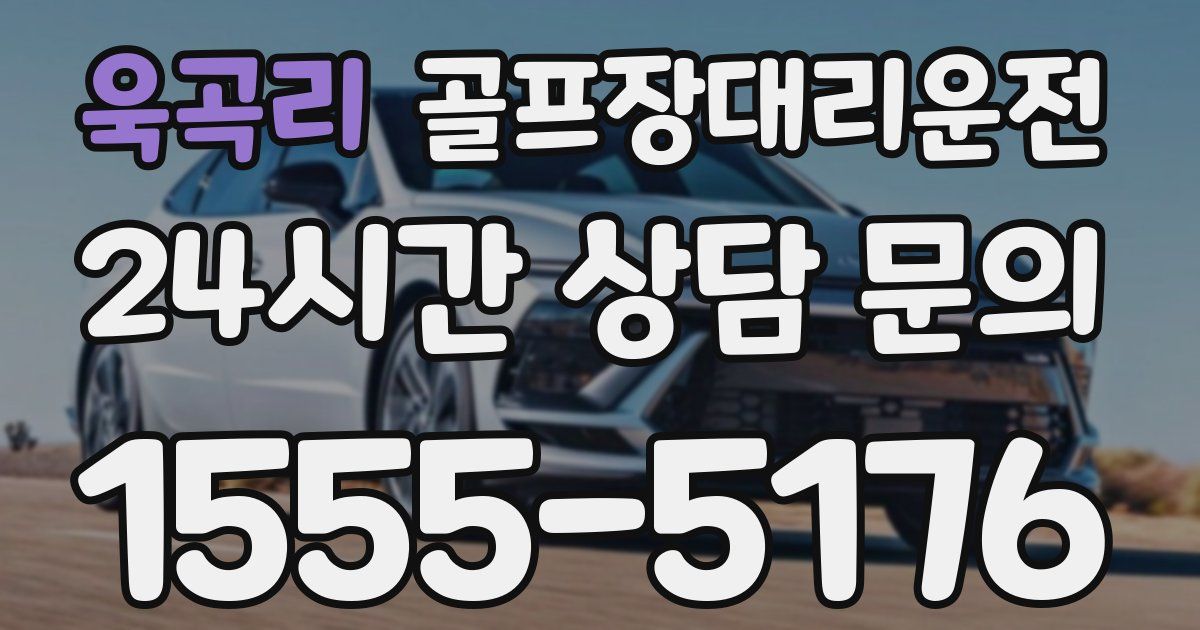 골프장대리운전 서비스