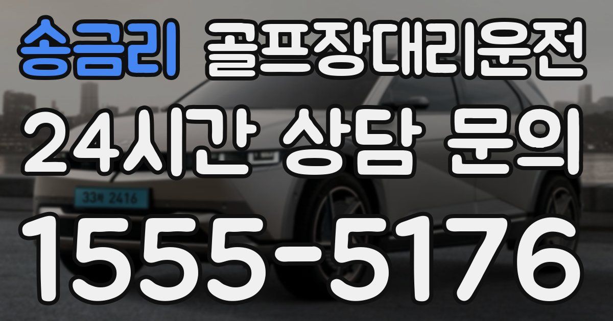 골프장대리운전 서비스