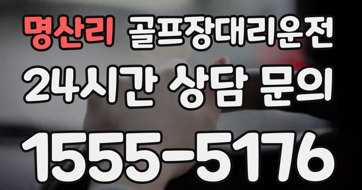 골프장대리운전 서비스