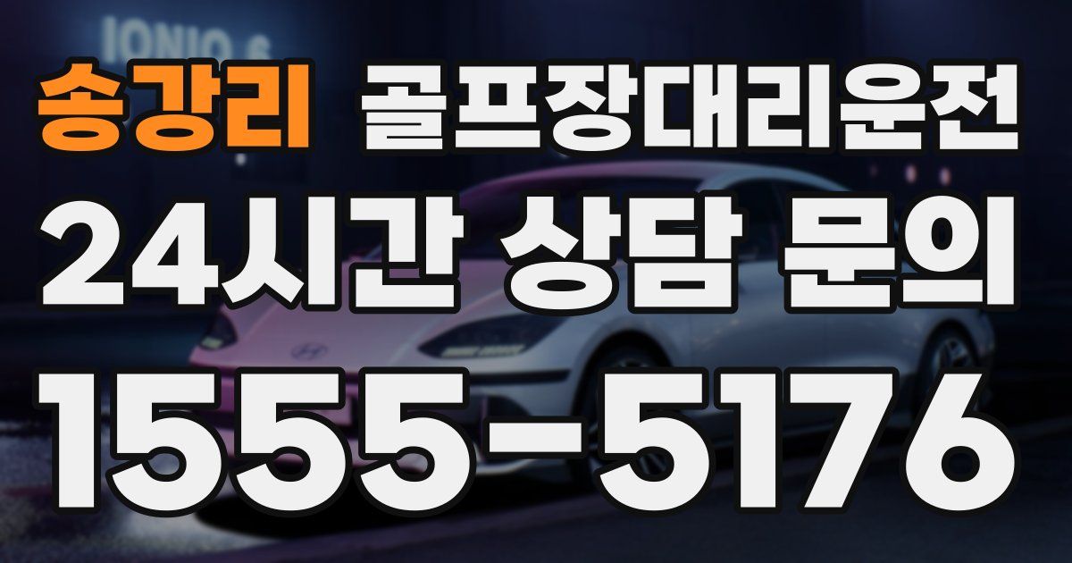 골프장대리운전 서비스