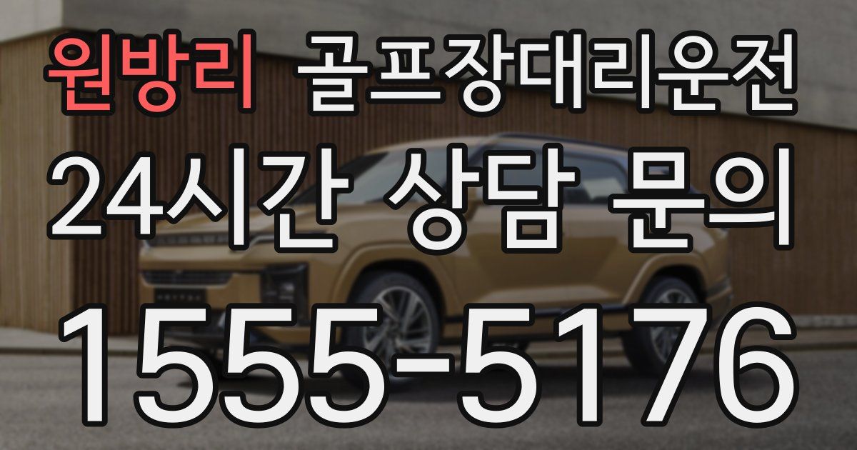 골프장대리운전 서비스