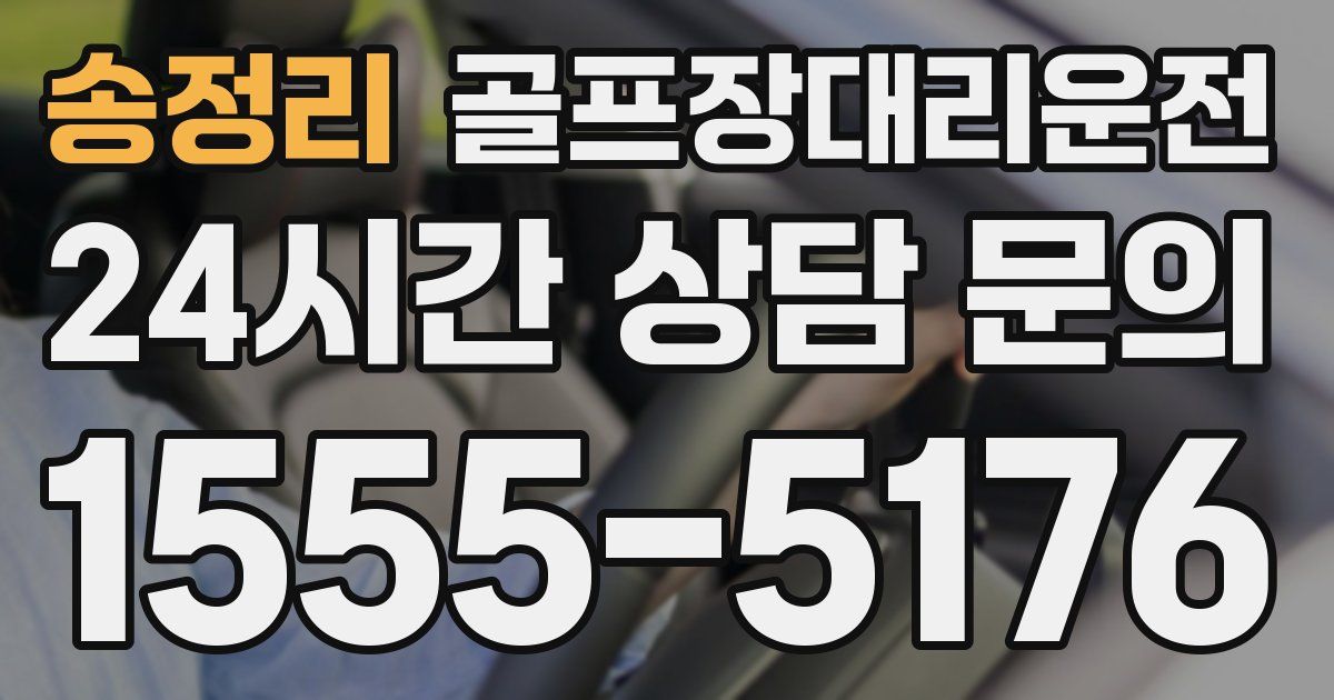 골프장대리운전 서비스