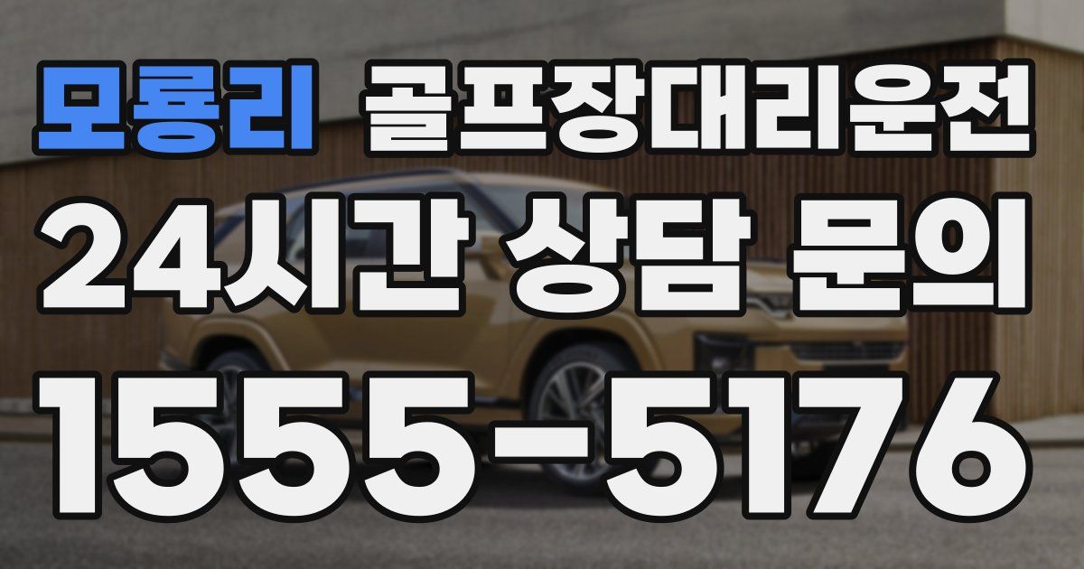 골프장대리운전 서비스