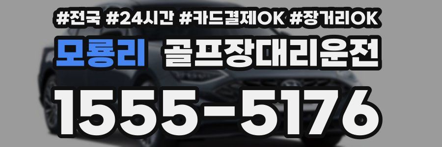 모룡리 골프장대리운전