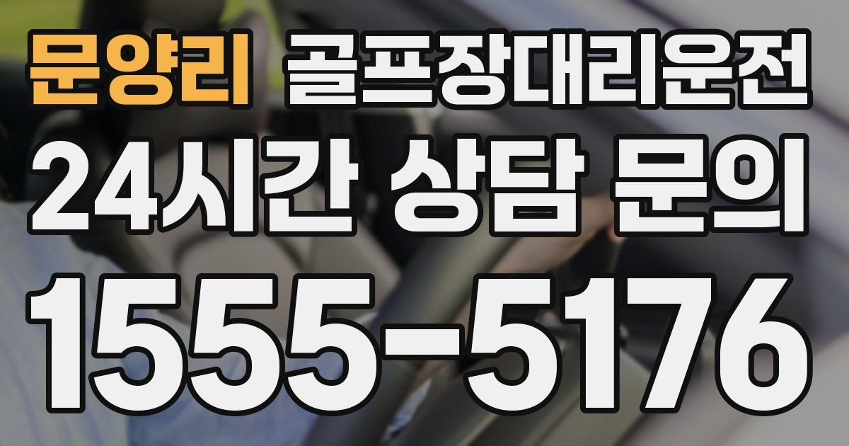 골프장대리운전 서비스