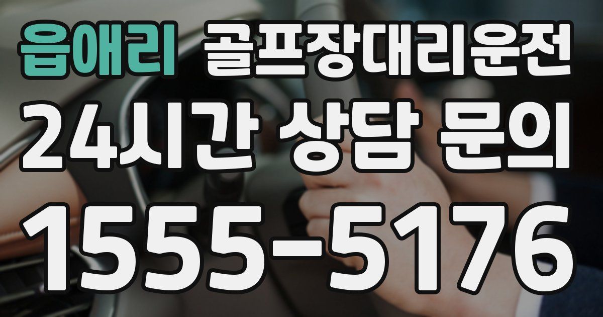 골프장대리운전 서비스