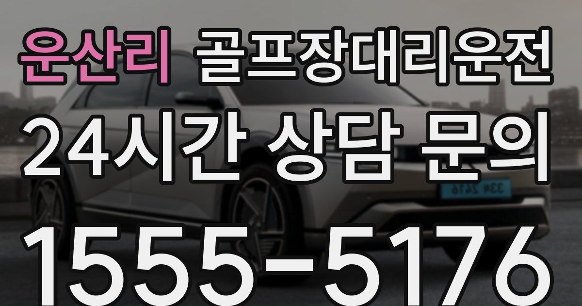 골프장대리운전 서비스