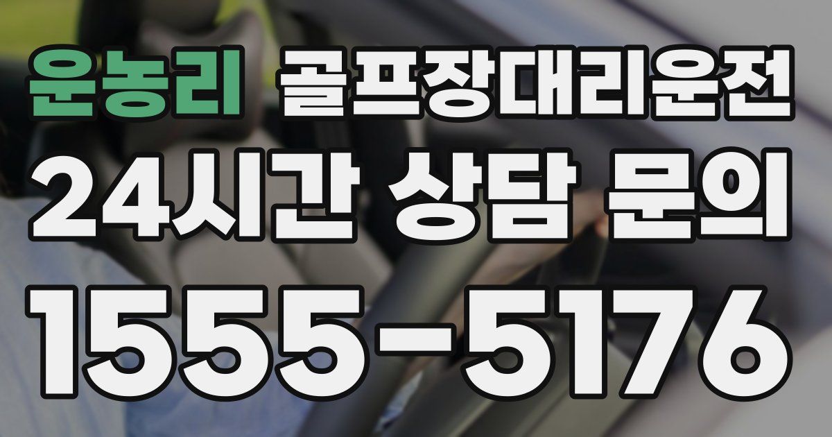골프장대리운전 서비스