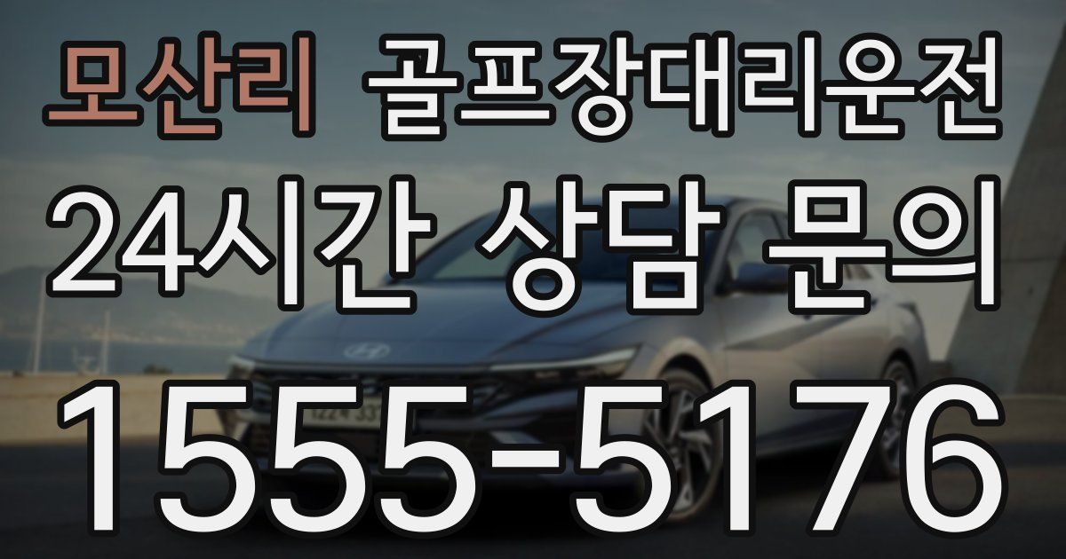 골프장대리운전 서비스