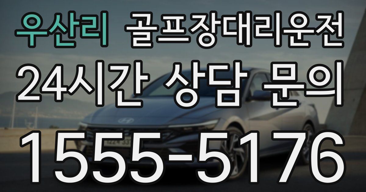 골프장대리운전 서비스