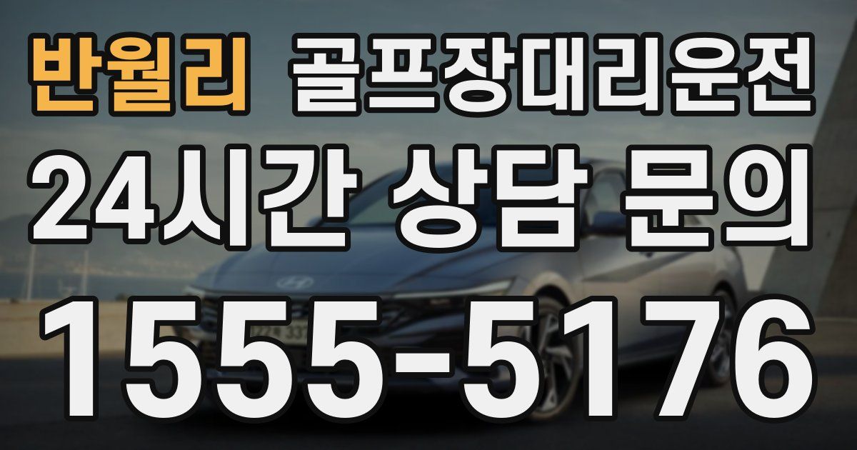 골프장대리운전 서비스