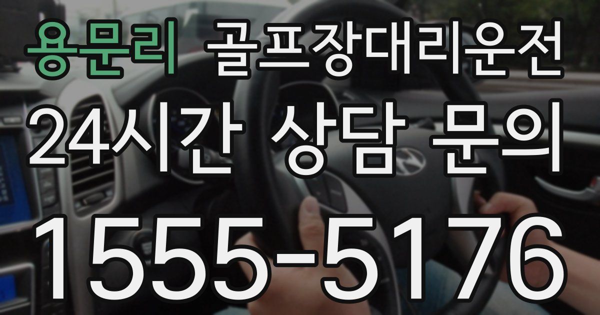 골프장대리운전 서비스