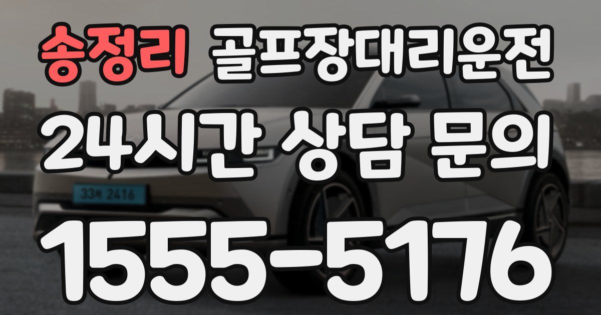 골프장대리운전 서비스