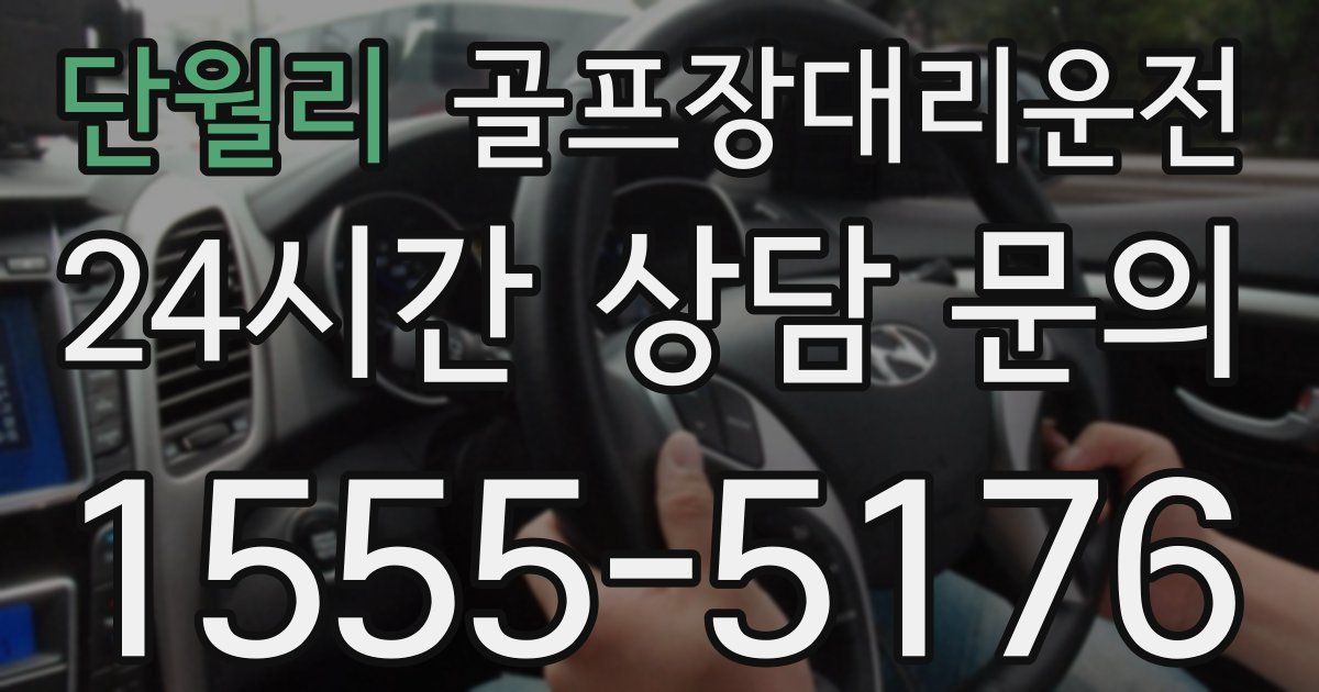 골프장대리운전 서비스