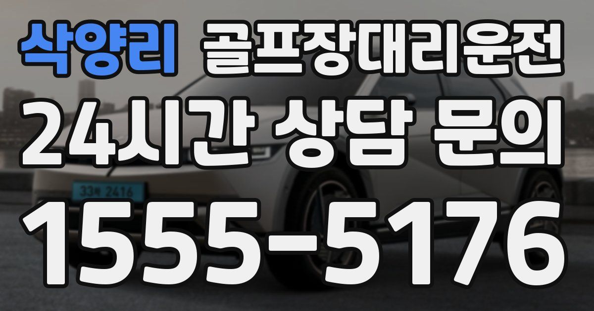 골프장대리운전 서비스