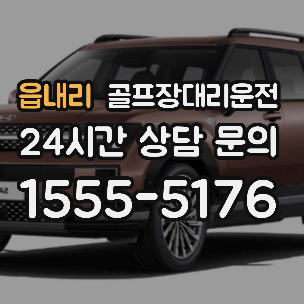 골프장대리운전