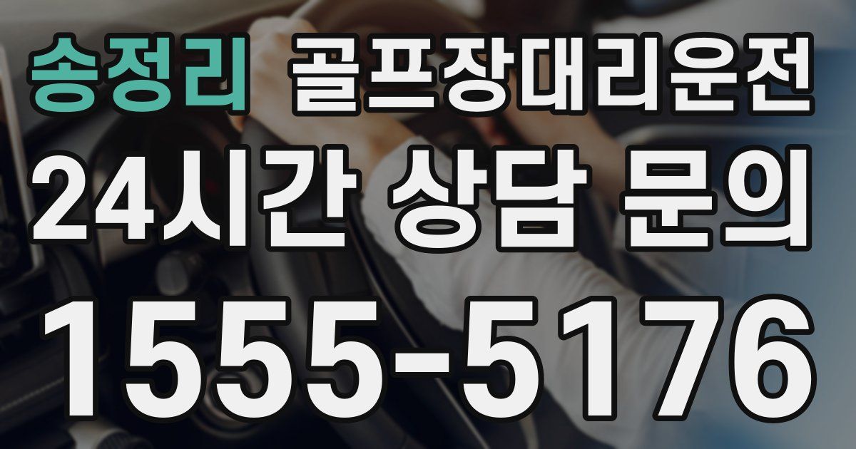 골프장대리운전 서비스