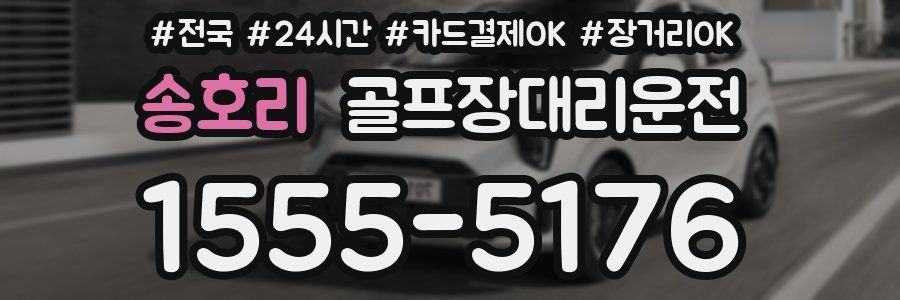 송호리 골프장대리운전