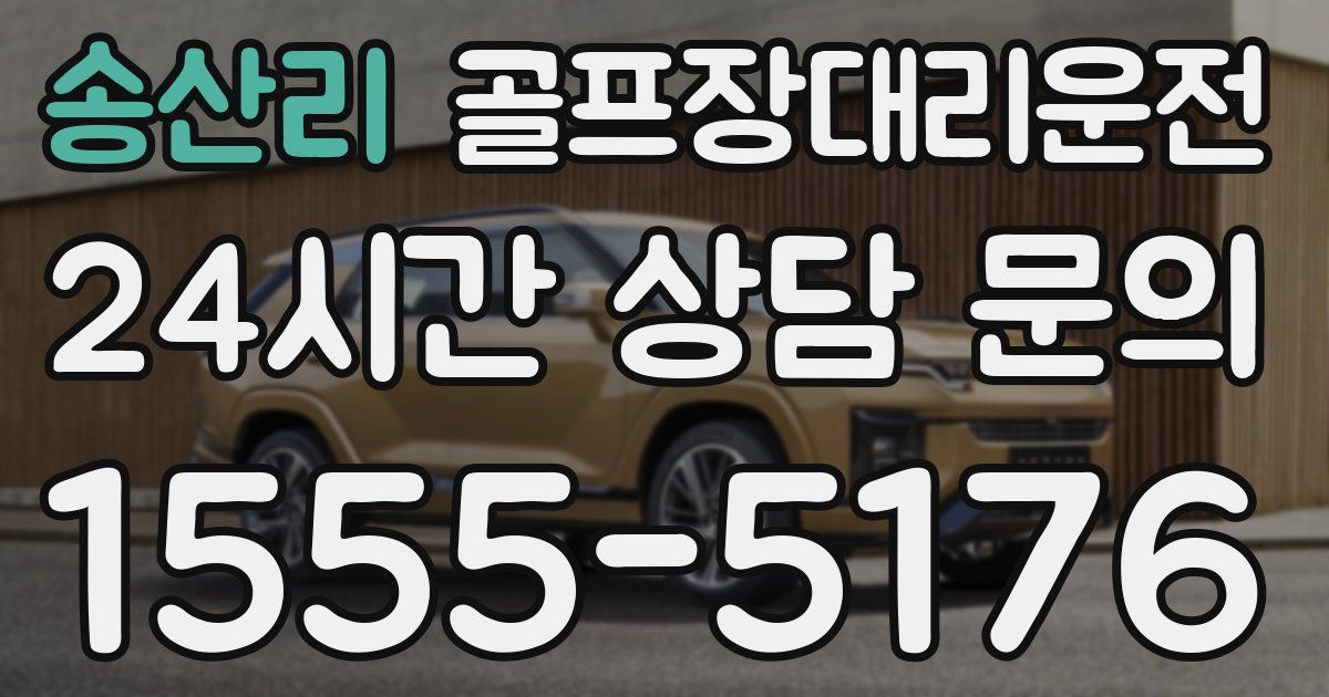 골프장대리운전 서비스