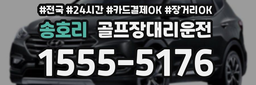 송호리 골프장대리운전