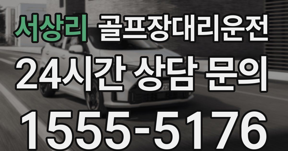 골프장대리운전 서비스