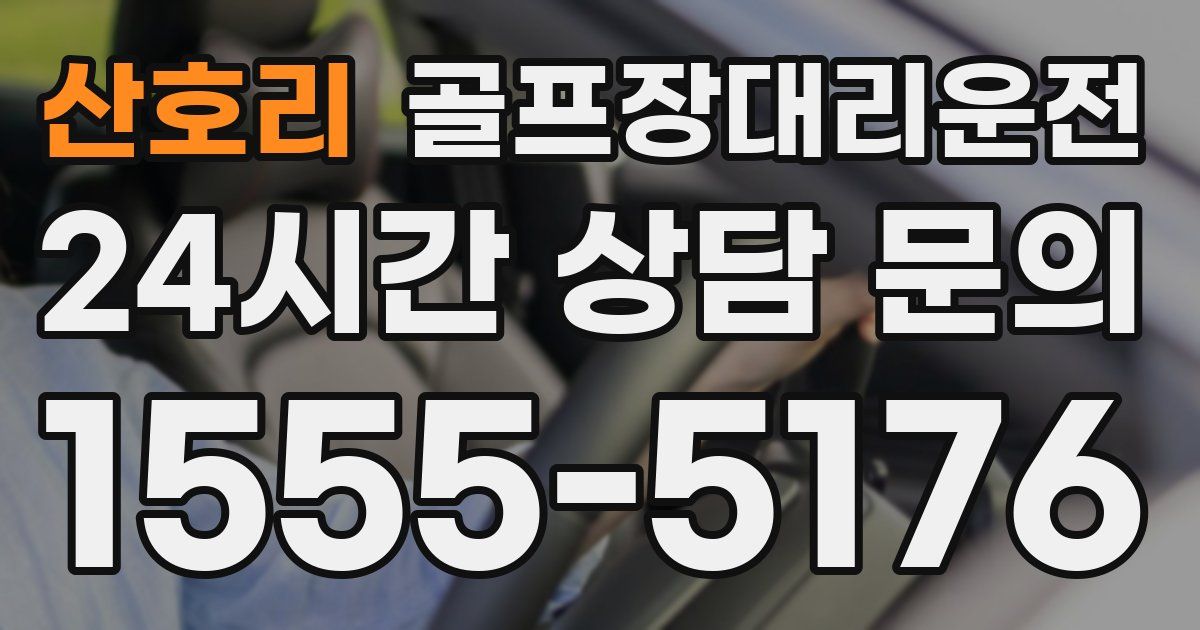 골프장대리운전 서비스