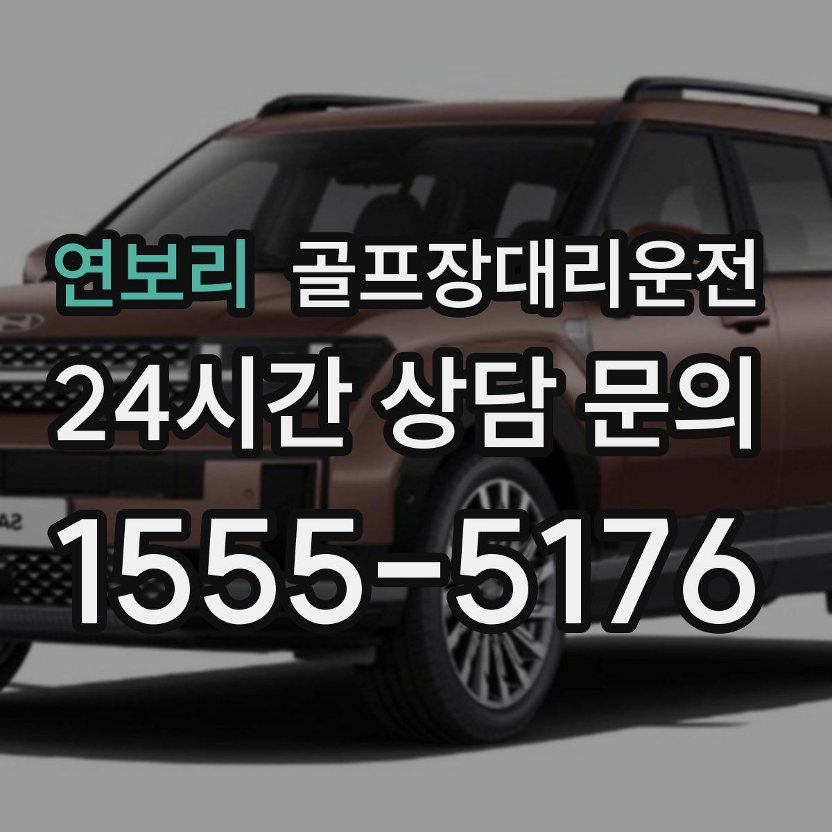 골프장대리운전