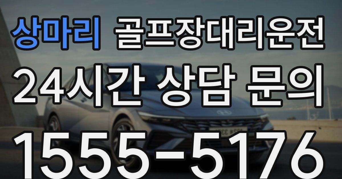 골프장대리운전 서비스