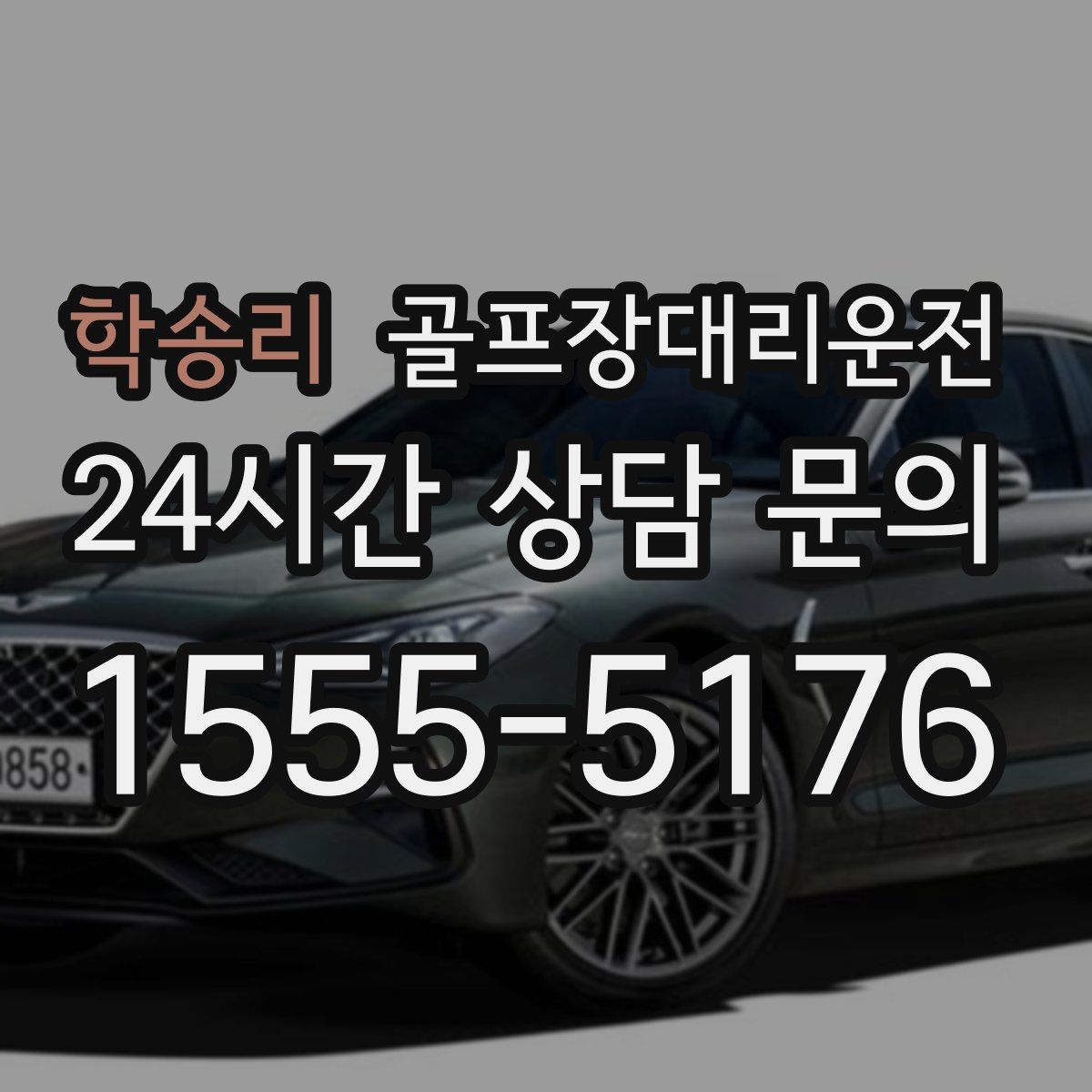 골프장대리운전