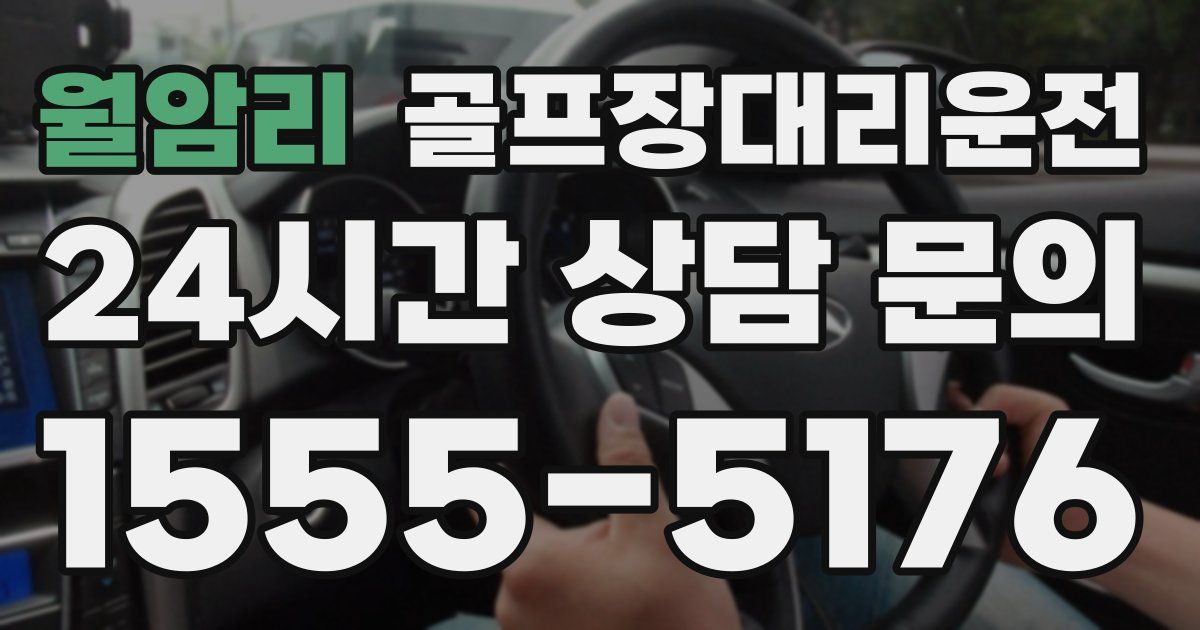 골프장대리운전 서비스