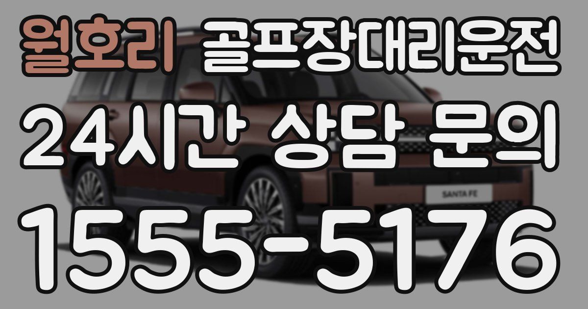 골프장대리운전 서비스