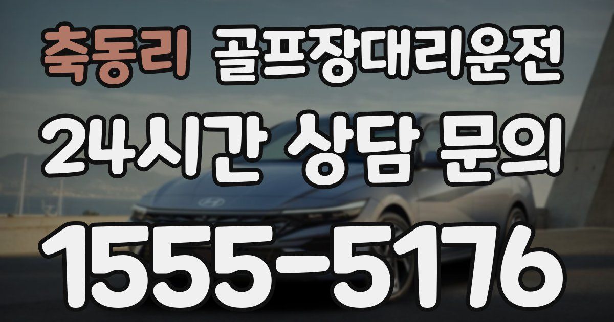 골프장대리운전 서비스