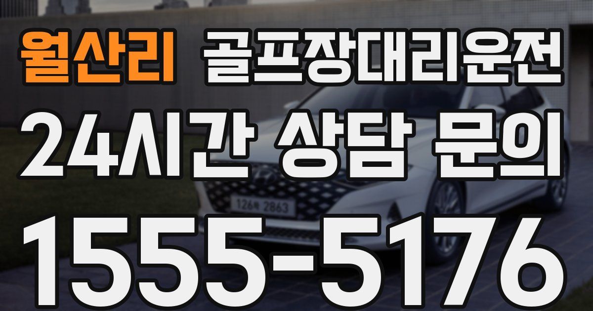 골프장대리운전 서비스