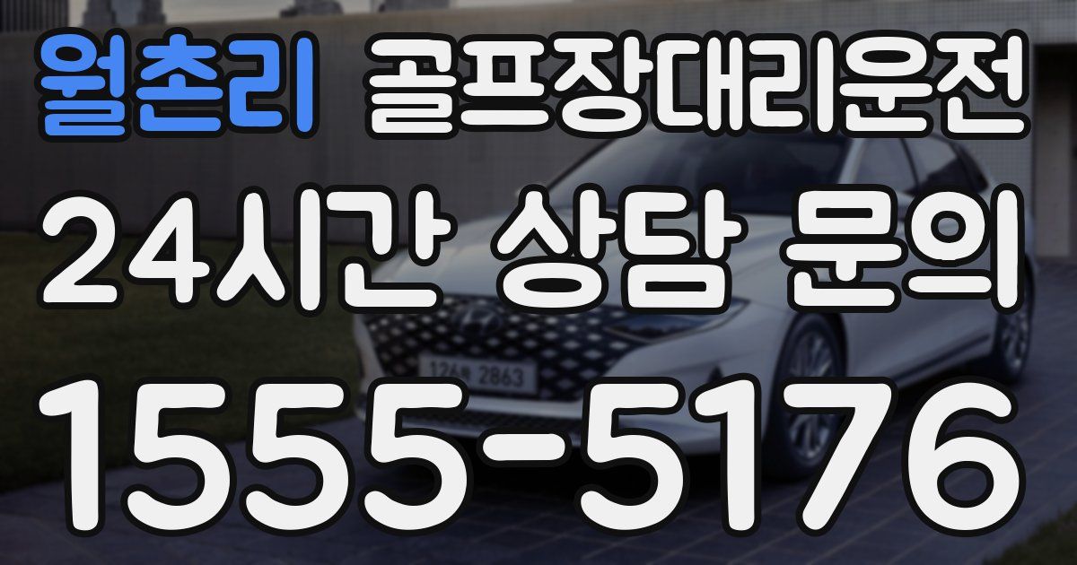 골프장대리운전 서비스